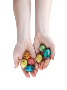 Colored easter eggs in hands. Quail eggs. Isolated with clipping pathon a white background. Top view.