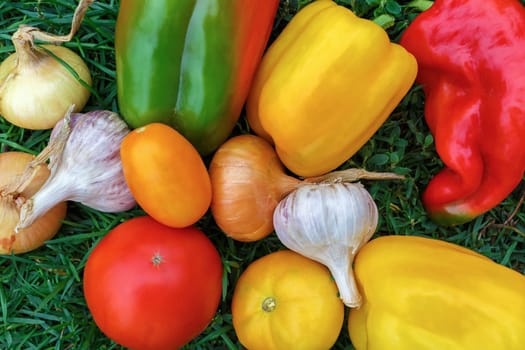 Still life. Colorful appetizing vegetables. Shallow depth of field.