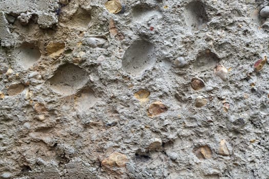 Coquina background. Old grunge fossil limestone texture.