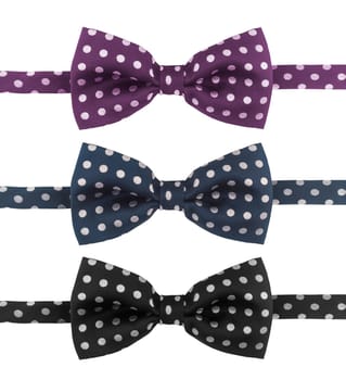 Three dotted tie bows in different colors isolated on white background