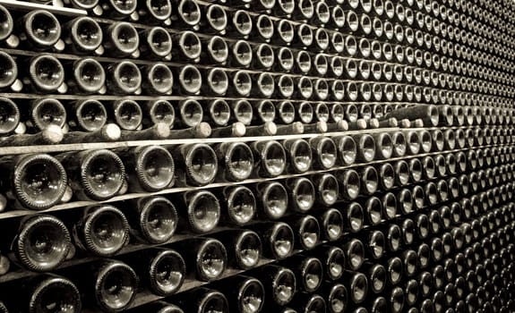 Horizontal view of rows of many champagne bottles on the wall of a wine cellar