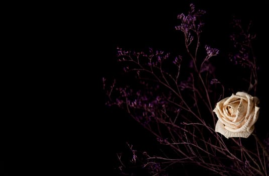 Horizontal photo of a withered white rose with branches on dark background