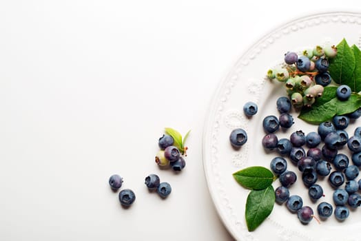 Juicy and fresh blueberries with green leaves on white background
