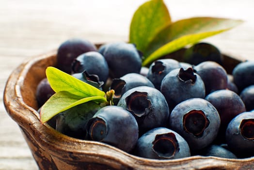 Freshly picked blueberries in bowl close up shoot