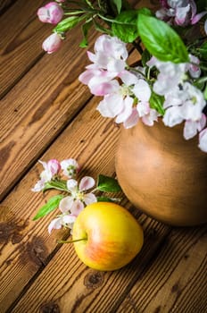 Ripe apple and blossoming branch of an apple-tree in a clay jar, close-up