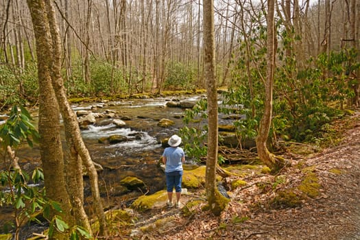 Enjoying the View of the Little River in the Great Smoky Mountains in Tennessee
