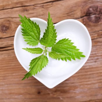 Homeopathy and cooking with medicinal herbs,nettle