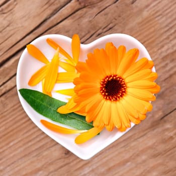 Homeopathy and cooking with medicinal herbs,marigold