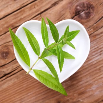 Homeopathy and cooking with medicinal herbs,verbena