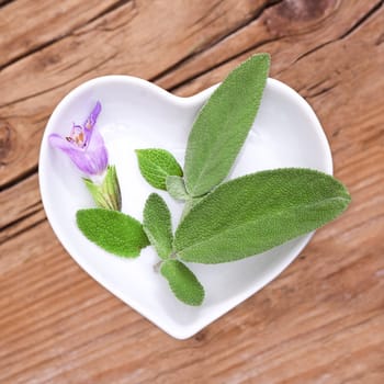 Homeopathy and cooking with medicinal herbs,sage