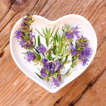 Homeopathy and cooking with medicinal herbs,xssop