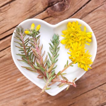 Homeopathy and cooking with medicinal herbs,rock fat hen