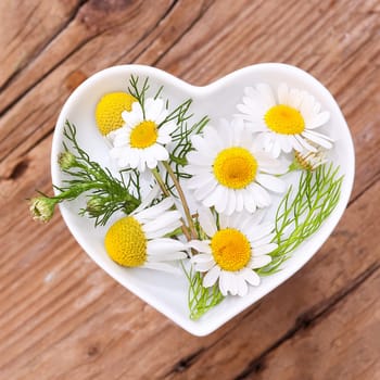 Homeopathy and cooking with medicinal herbs,chamomile