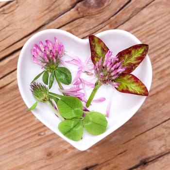 Homeopathy and cooking with medicinal herbs,red clover