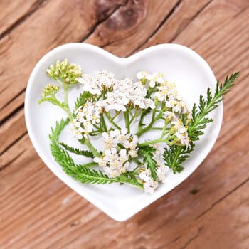 Homeopathy and cooking with medicinal herbs,yarrow