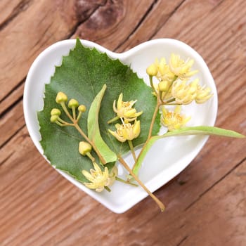 Homeopathy and cooking with medicinal herbs,lime blossoms