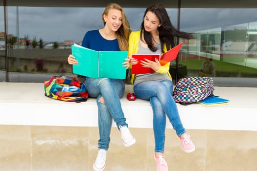 Happy teenage students in the school
