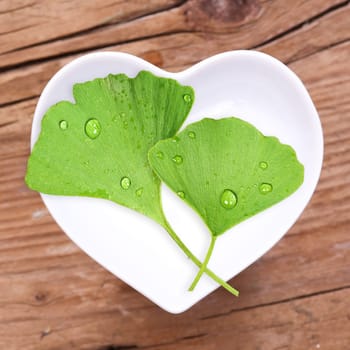 Homeopathy and cooking with medicinal herbs,ginkgo