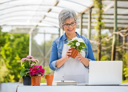 Beautiful mature woman working in a greenhouse holding flowers on her hands
