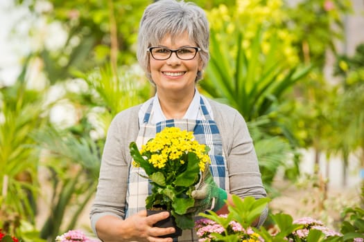 Beautiful mature woman working in a greenhouse holding flowers on her hands