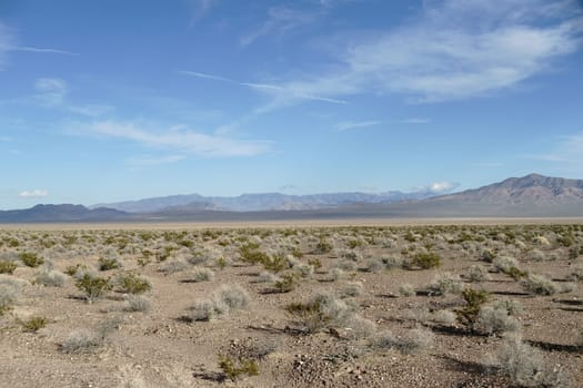 The panorama of a barren Mojave desert landscape with dry plants and tufts of grass.