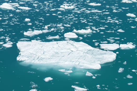 Iceberg Floating in Tracy Arm Fjord in Alaska.