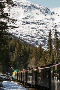 The White Pass and Yukon Route narrow gauge railroad, part of the area's mining past, is now in operation purely for the tourist trade and runs throughout the summer months. Skagway is also part of the setting for Jack London's book The Call of the Wild and for Joe Haldeman's novel Guardian.