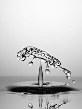 Water Drop Collision Macro, Black and White
