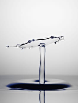 Water Drop Collision Macro, Black and White