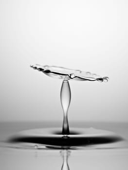 Water Drop Collision Macro, Black and White