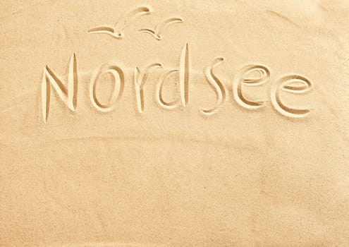 Nordsee German text and seagulls hand drawn in beach sand with copy space below conceptual of spring and summer vacations to North Sea travel destinations