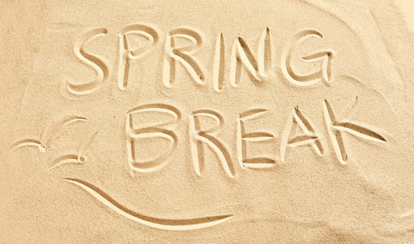 Spring Break and flying birds or seagulls drawn in golden beach sand conceptual of travel and a seaside vacation in the tropics