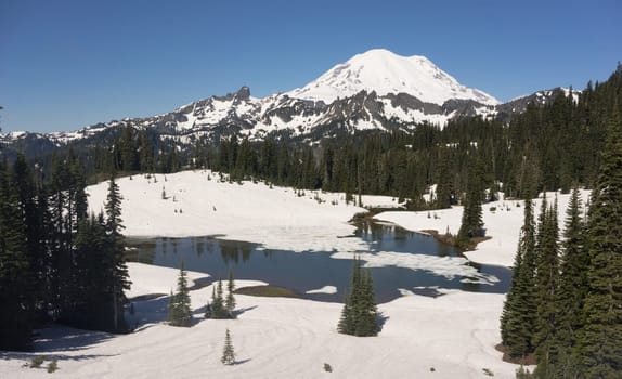 Winter snow holds on into summer at Tipsoo Lake in Mt Rainier National Park