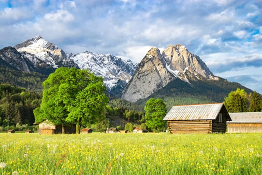 Beautiful Alpine spring rural landscape with flowering valley meadow and morning sunlight mountains