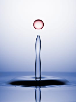 Water Drops Captured before Collision. Macro, Blue backround, Red Drop