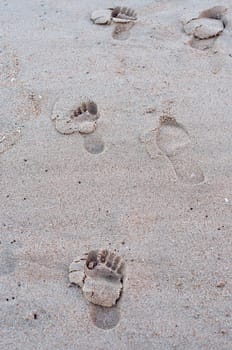 Footprints on the beach