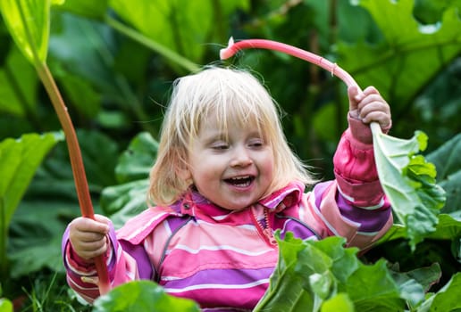 Little girl sitting in the Grass playing with rhubarb during this year's harvest