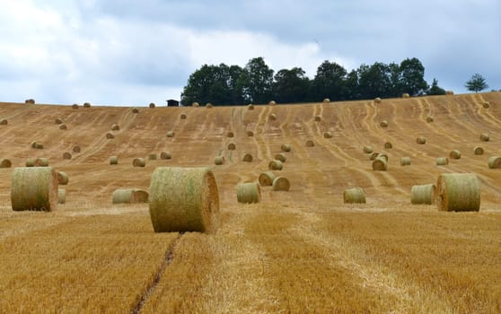 Field with straw bales
