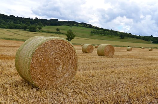 Field with straw bales