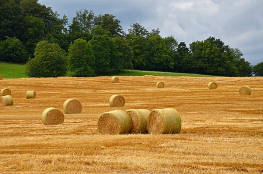 Field with straw bales