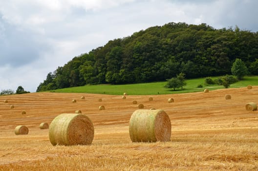 Field with straw bales