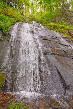 Fern Branch Falls in the Smoky Mountains in the Spring