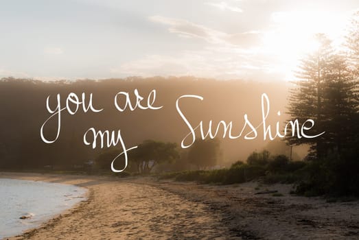You Are My Sunshine message. Handwritten motivational text over sunset calm sunny beach background with vintage filter applied