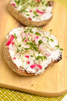 Whole grain bread with curd and radishes and frresh cress