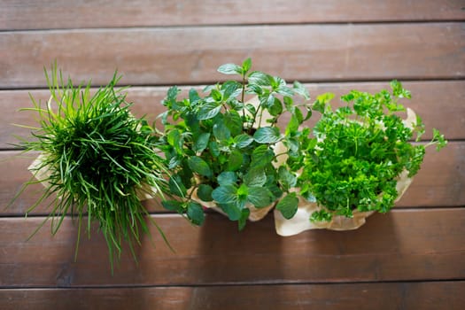 Herbal pots - chives,parsley,mint