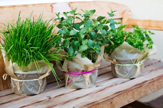 Herbal pots - chives,parsley,mint