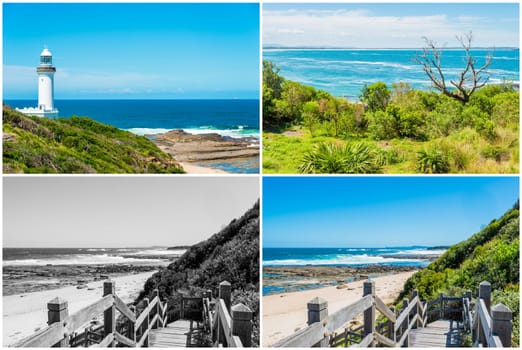 Photo collage with Norah Head lighthouse and native vegetation, Australia