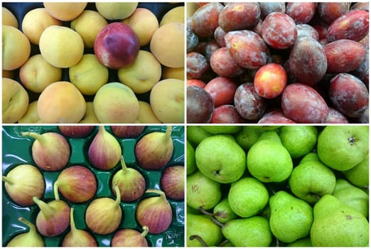 Photo Collage of fresh fruits with apricot, pears, plums and figs