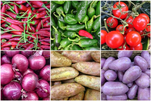 Photo Collage of fresh vegetables with red onion, red, capsicum, green capsicum, tomatoes, sweet potatoes and purple potatoes