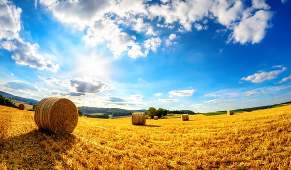Rural landscape in vivid blue and yellow,a scenery of the sun,blue sky and a harvested gold field